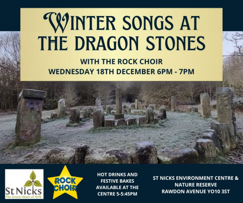 Winter Songs Rock Choir