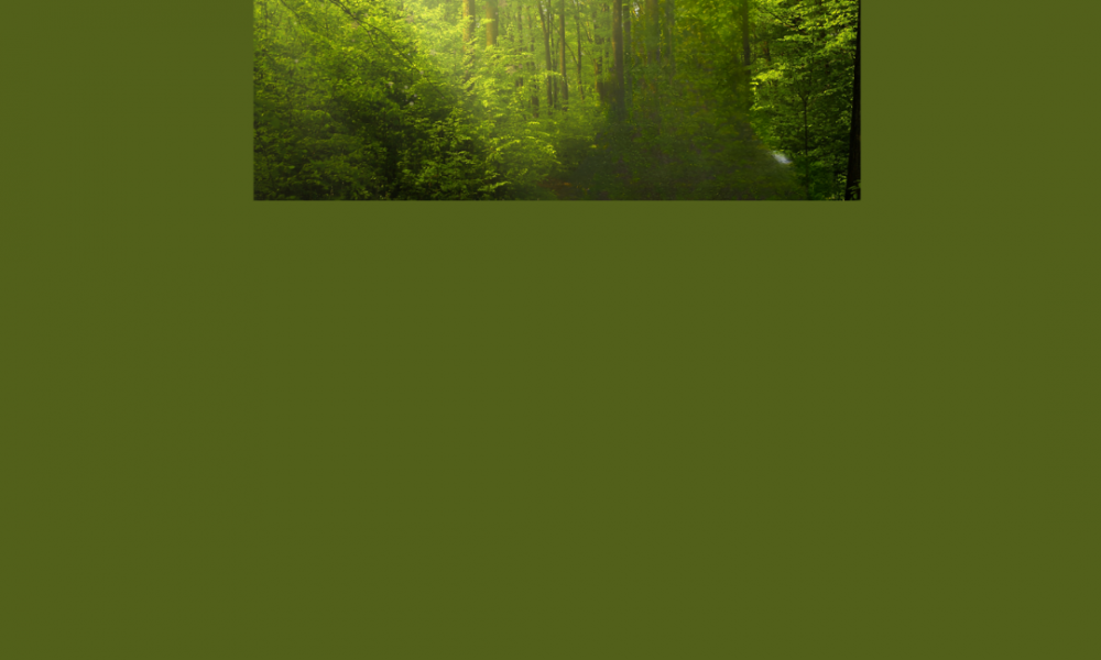 The green heart of york podcast title on  green forest background with a cartoon microphone and the st nicks logo with a white border to make it stand out