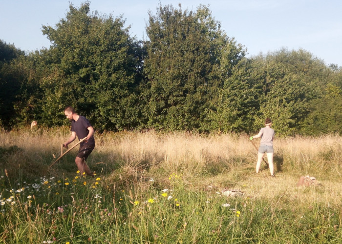 Scything st nicks