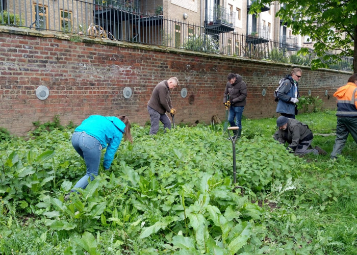 Volunteers on New Walk