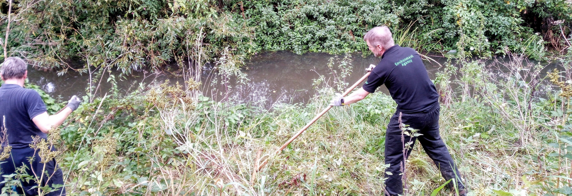 Scything Foss riverbank 1