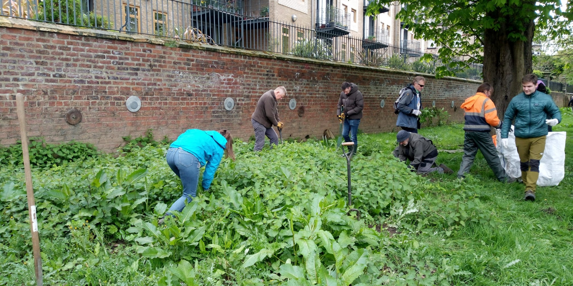 Volunteers on New Walk