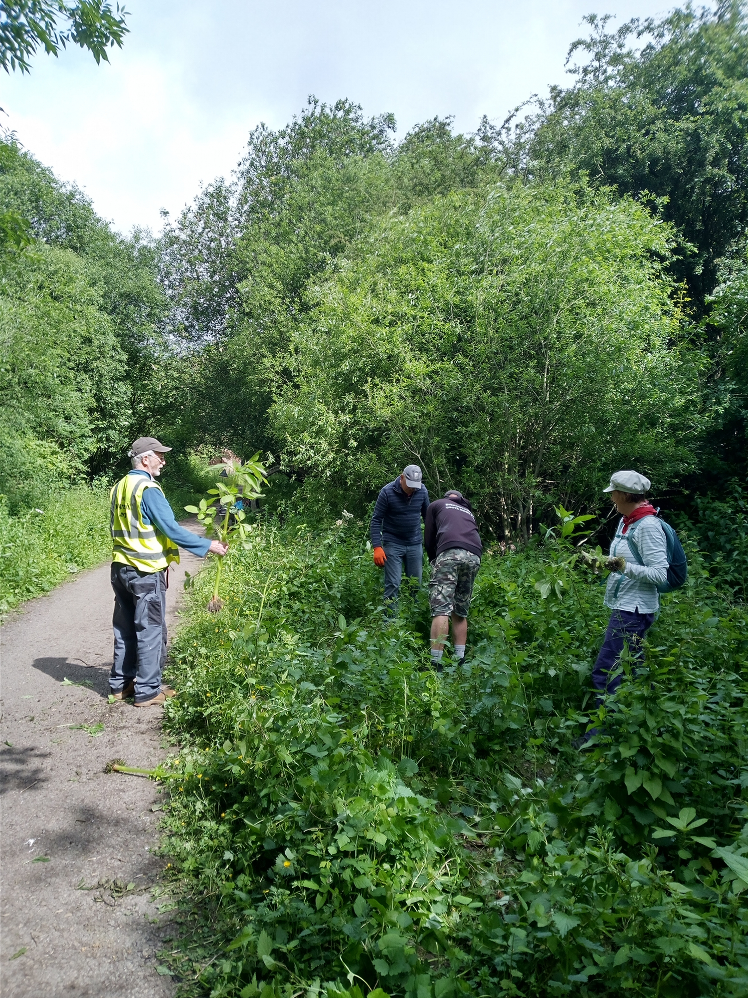 Pulling Balsam Solar System Greenway (2)