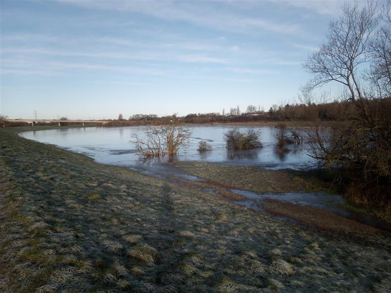 Rawcliffe Ings